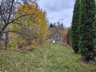Fotka 17