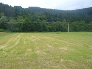 Pozemek Hovězí